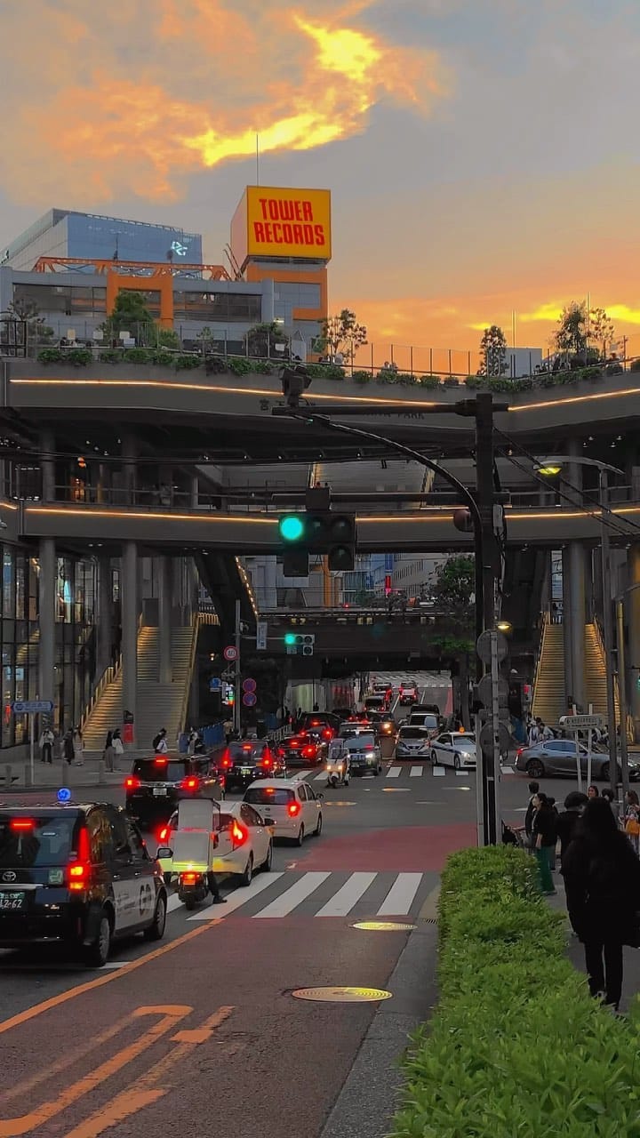 Post 8 by LOST IN TOKYO on Instagram (video)