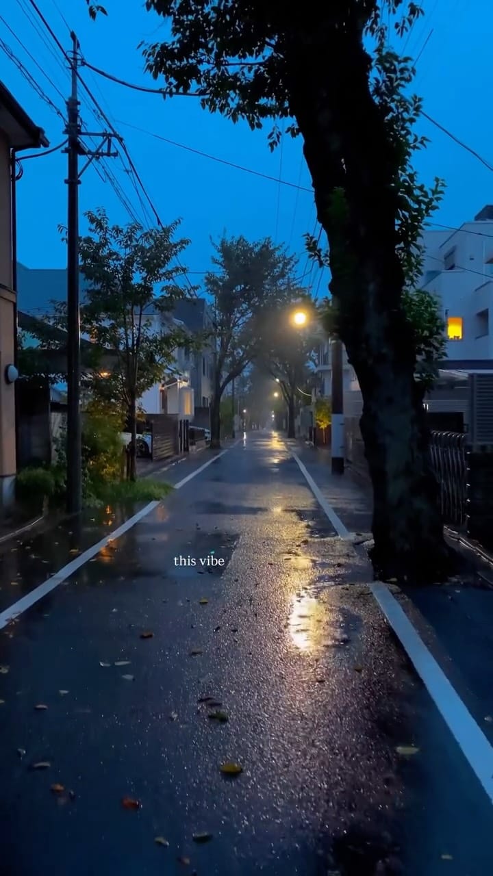 Post 2 by LOST IN TOKYO on Instagram (video)