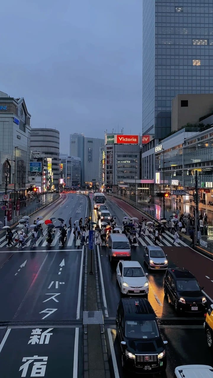Post 9 by LOST IN TOKYO on Instagram (video)