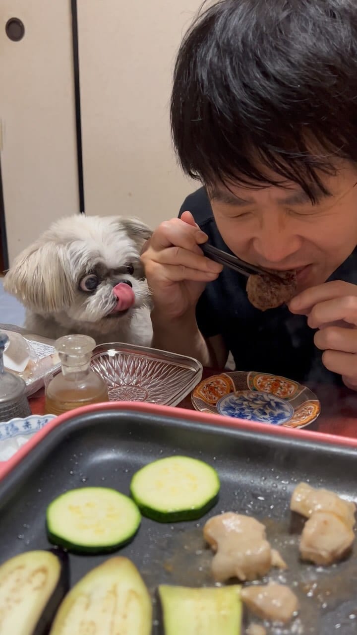 Post 8 by shihtzu tempo on Instagram (video)