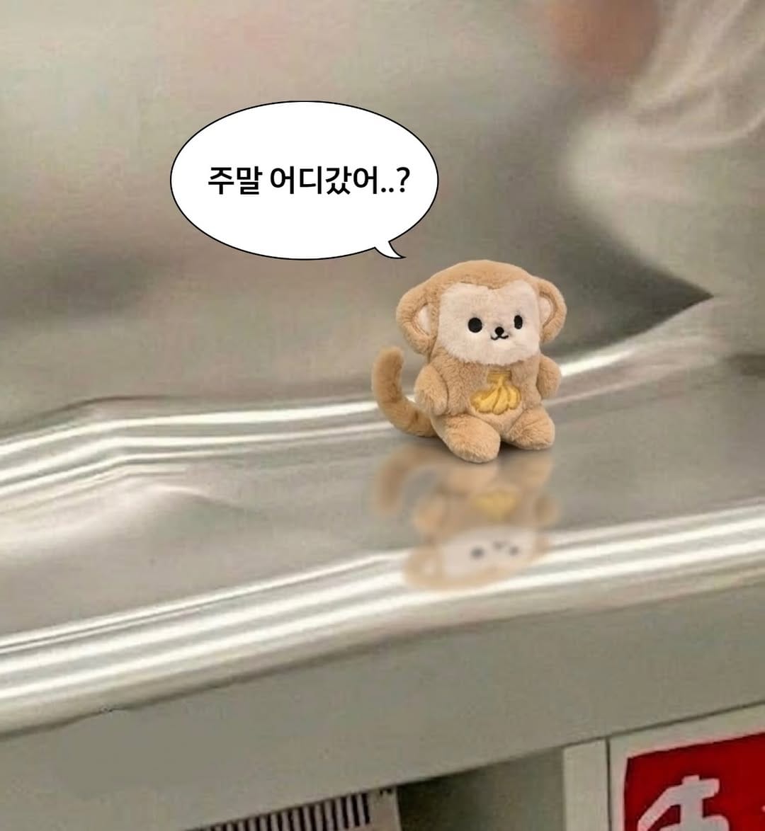 Post 7 by 젤리랜드공식계정*:.｡.♡.｡.:*･゜ﾟ･* on Instagram (image)