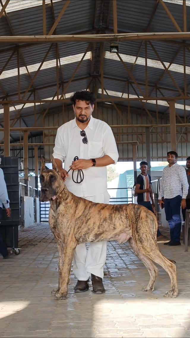 Post 9 by Pavan Ahuja on Instagram (video)