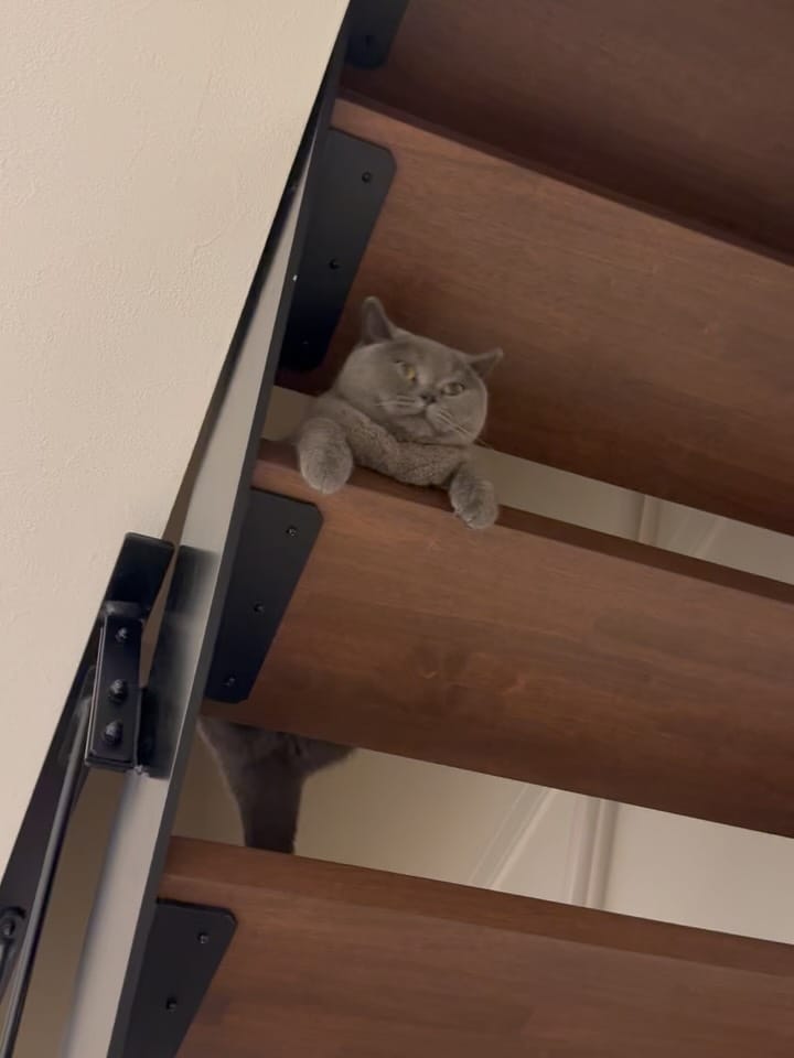 Post 9 by 𝙈𝘼𝙎𝙃 on Instagram (carousel)