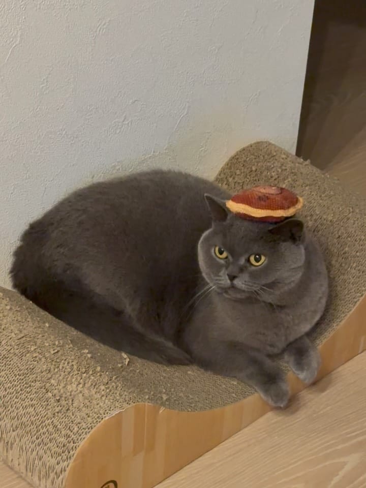 Post 6 by 𝙈𝘼𝙎𝙃 on Instagram (carousel)