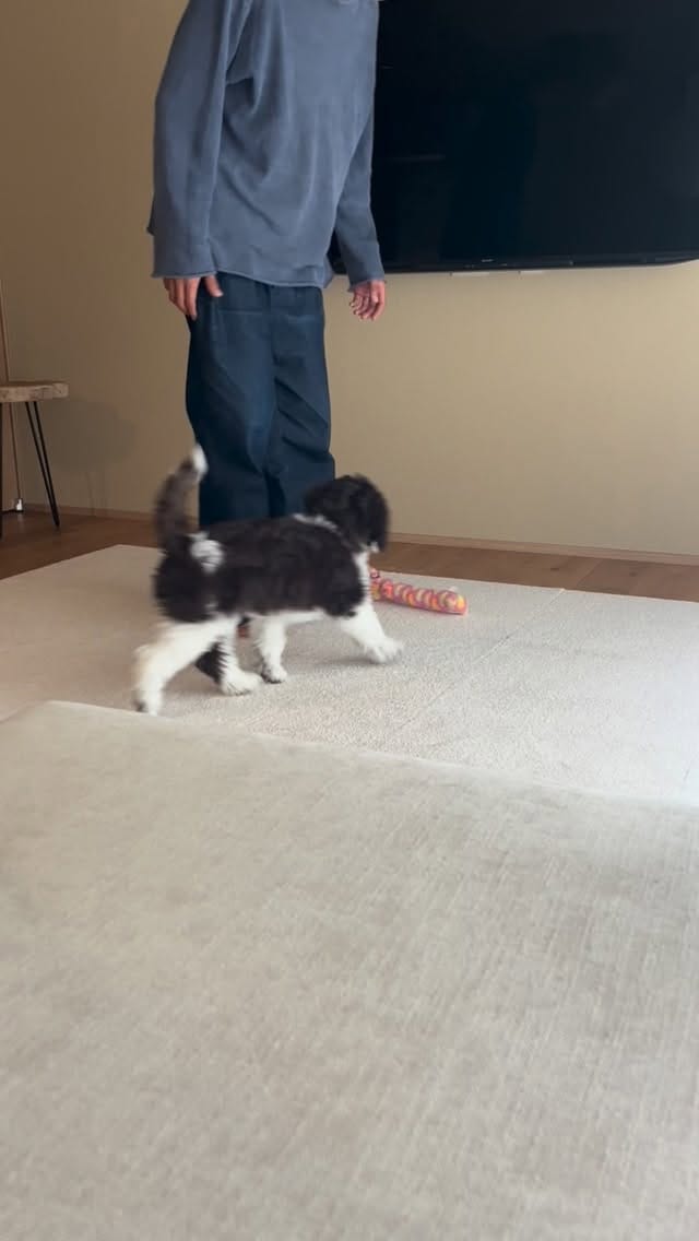 Post 3 by UME on Instagram (video)