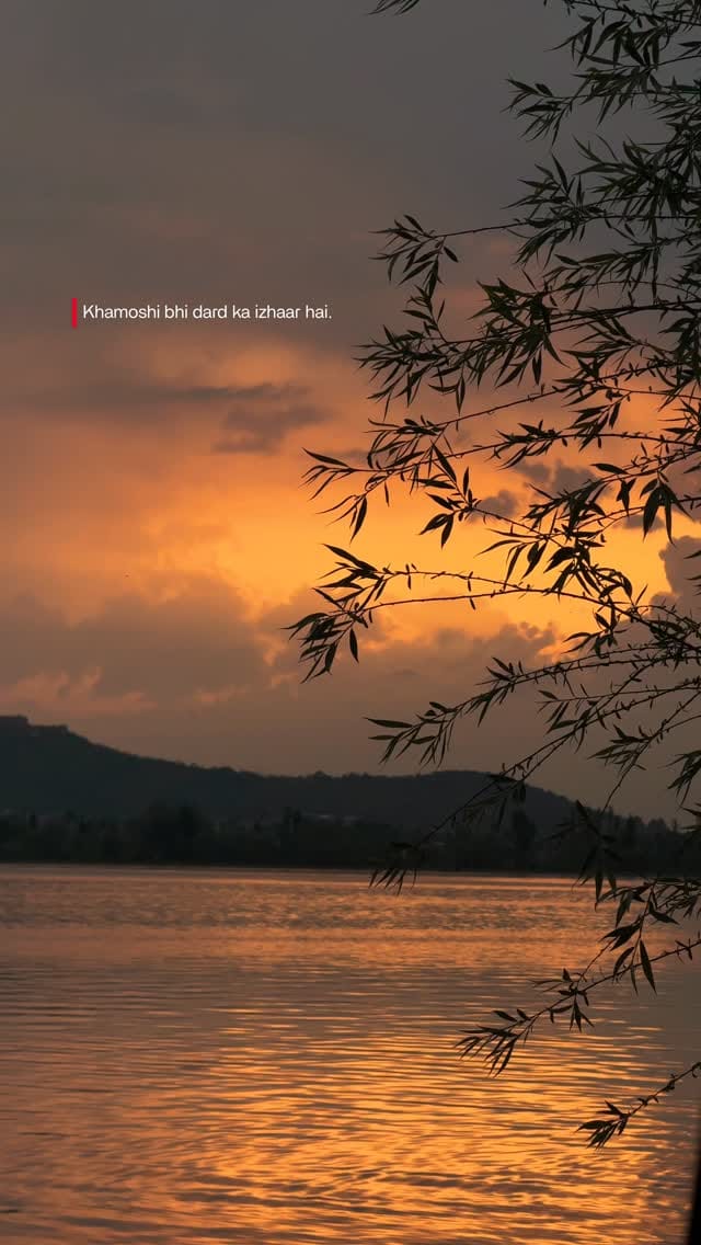 Post 4 by Zaid Syed Tantary on Instagram (video)