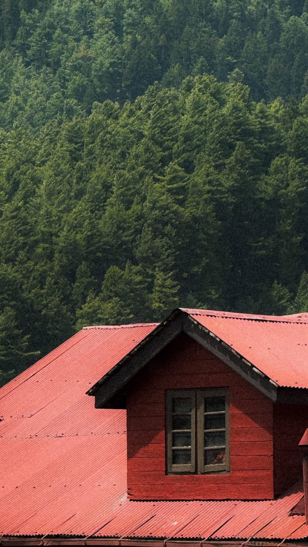 Post 6 by Zaid Syed Tantary on Instagram (video)