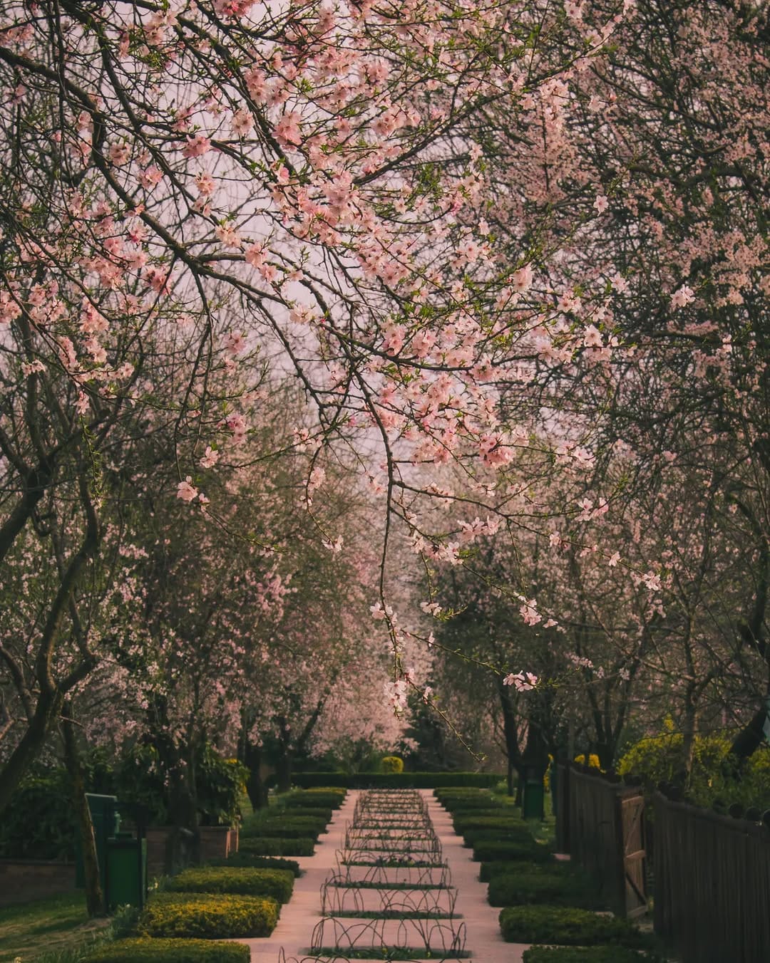 Post 10 by Zaid Syed Tantary on Instagram (carousel)