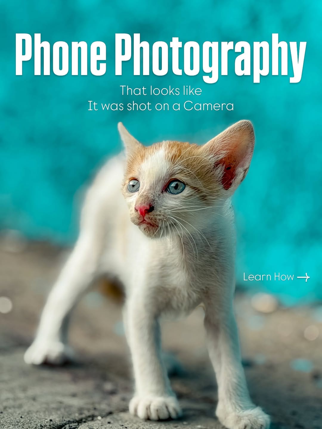 Post 6 by PRATIK TALREJA | Photographer & Content Creator on Instagram (carousel)