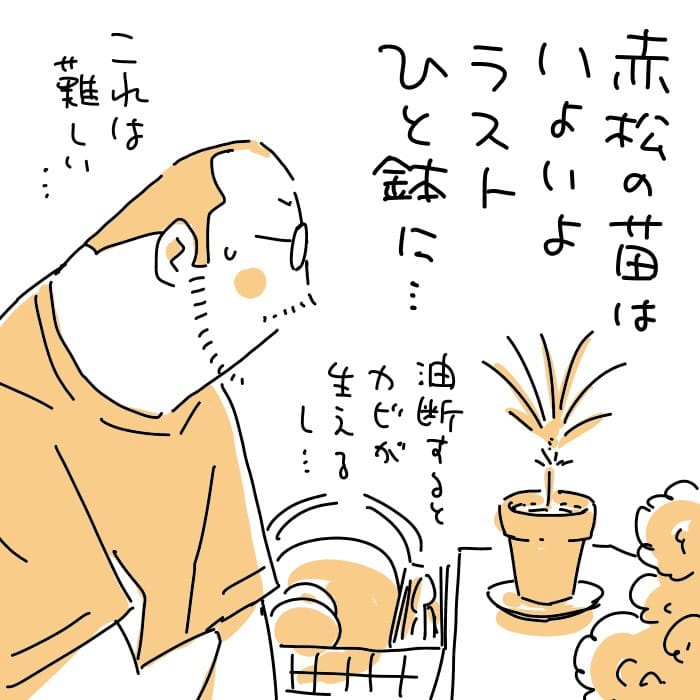 Post 2 by にぎりこぷし on Instagram (carousel)