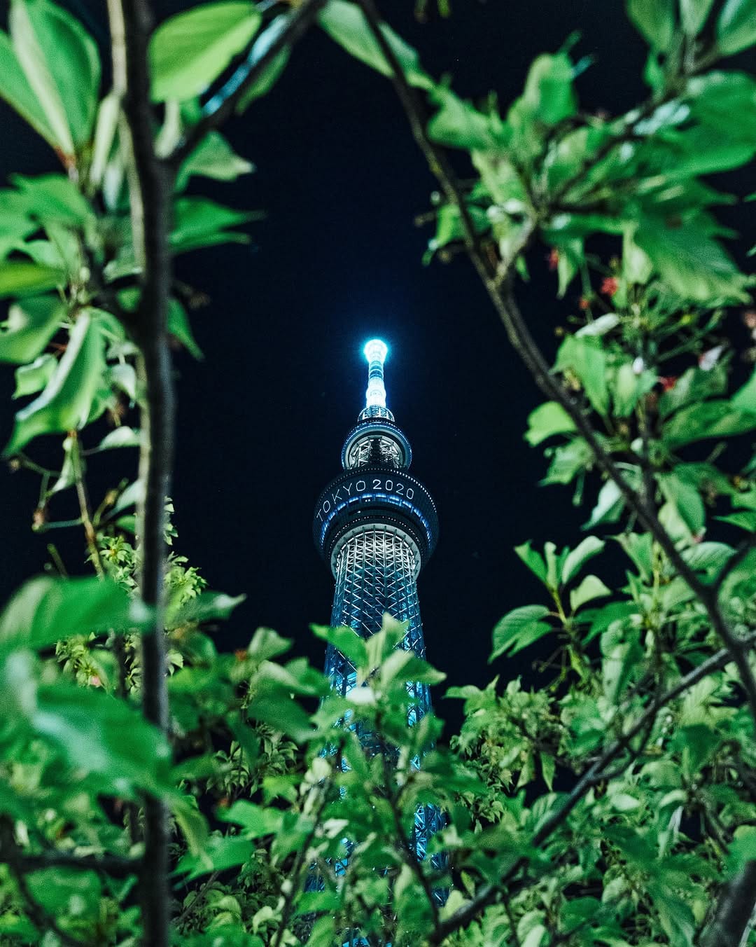 Post 4 by (ヤナ)yanasnap  Tokyo 📸 on Instagram (carousel)