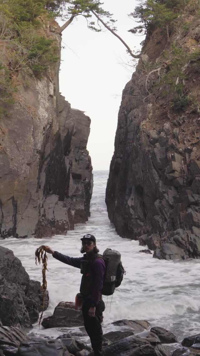 Post 4 by JUNKI NAKAMURA on Instagram (video)