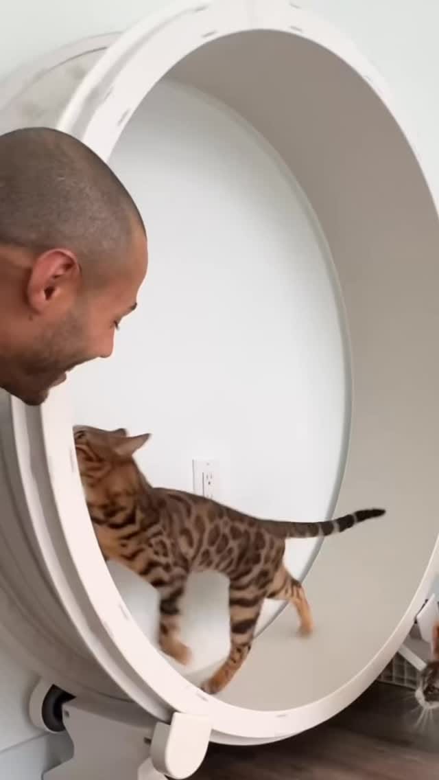 Post 5 by One Fast Cat on Instagram (video)