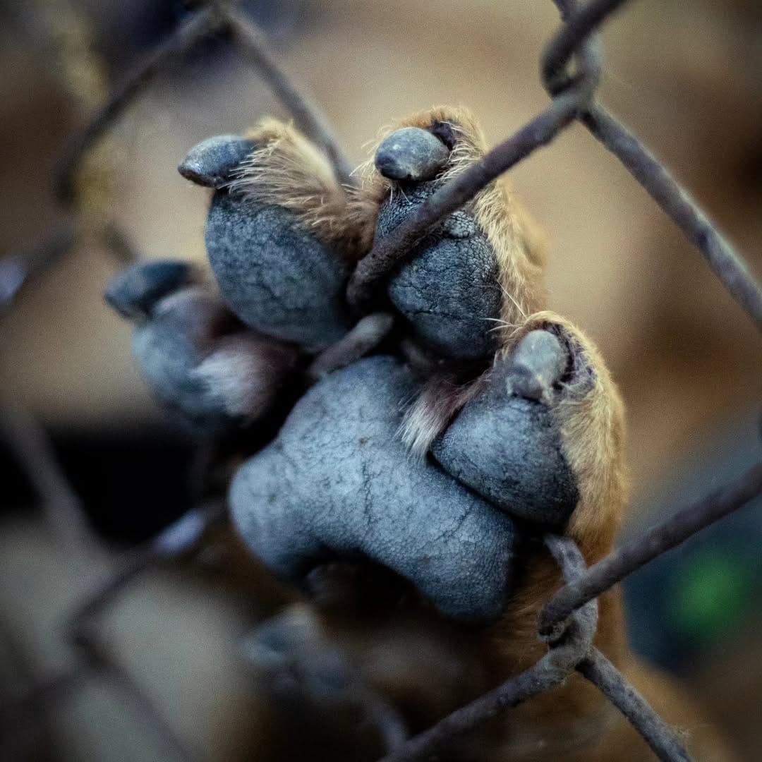 Post 8 by Veronica Peretti on Instagram (image)