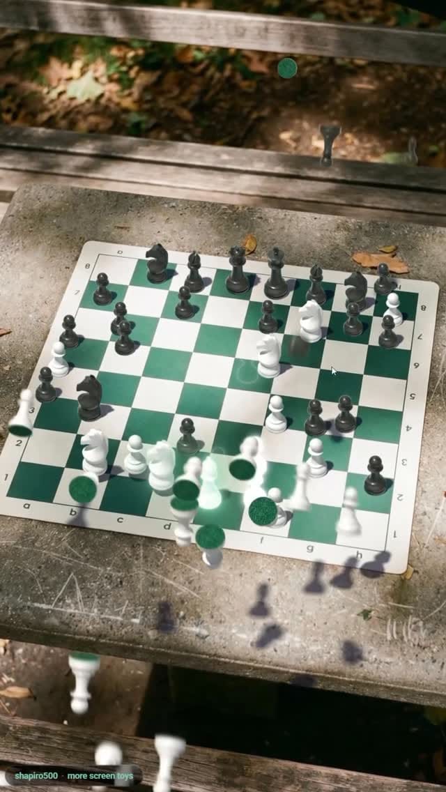 Post 6 by Gavin Shapiro on Instagram (video)
