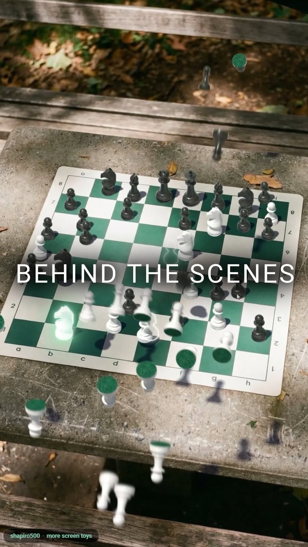 Post 5 by Gavin Shapiro on Instagram (video)