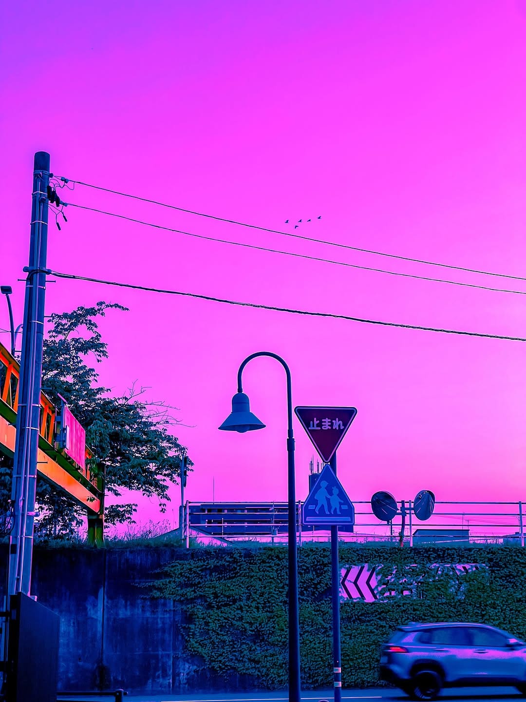 Post 1 by Rolling Mackey on Instagram (image)