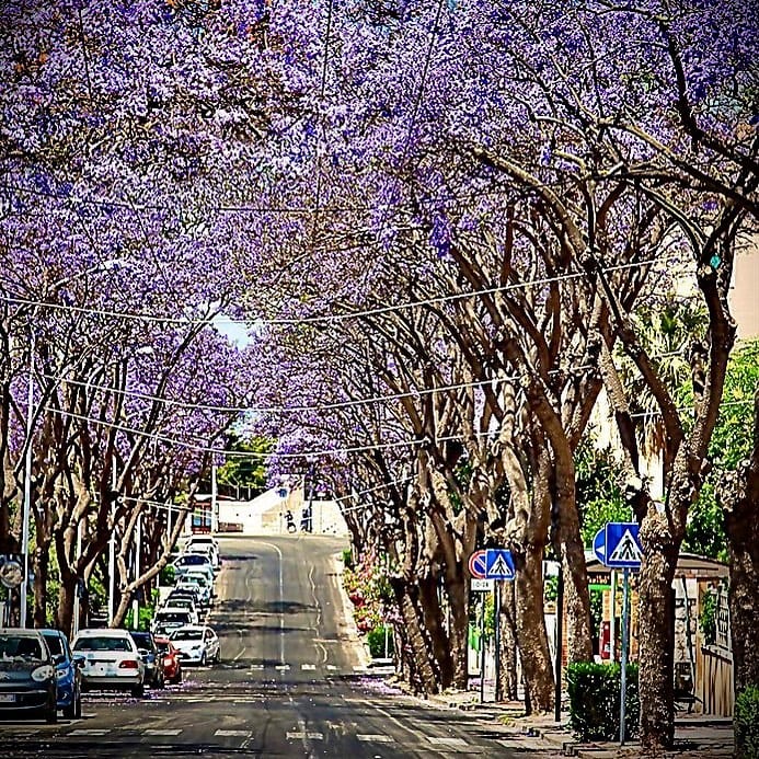 Post 7 by Alessandro on Instagram (image)
