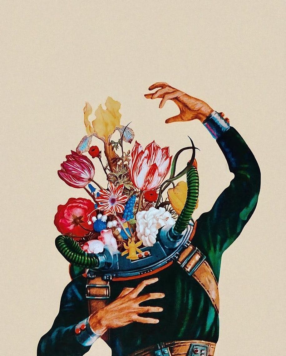 Post 8 by BLACKBIRD on Instagram (image)