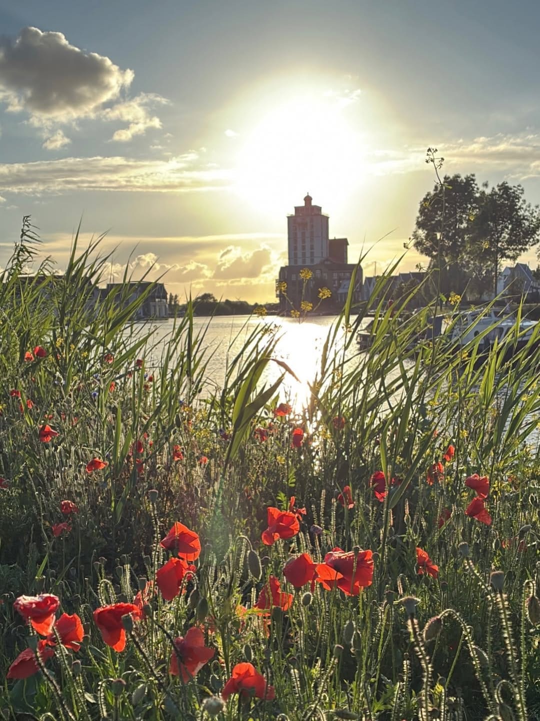 Post 6 by Frans de Lange on Instagram (image)