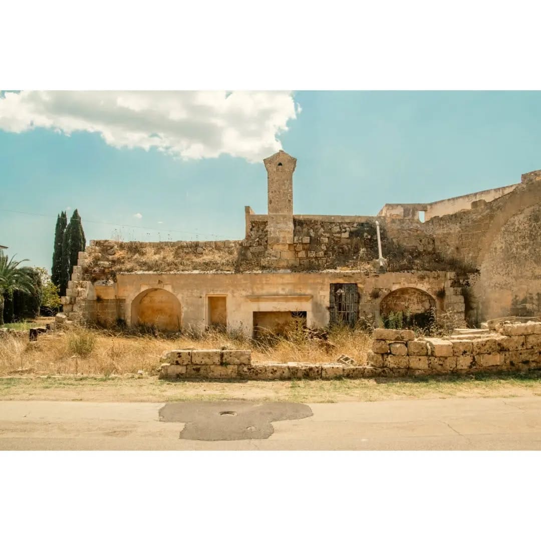 Post 5 by Zeno Marco Rizzo on Instagram (image)