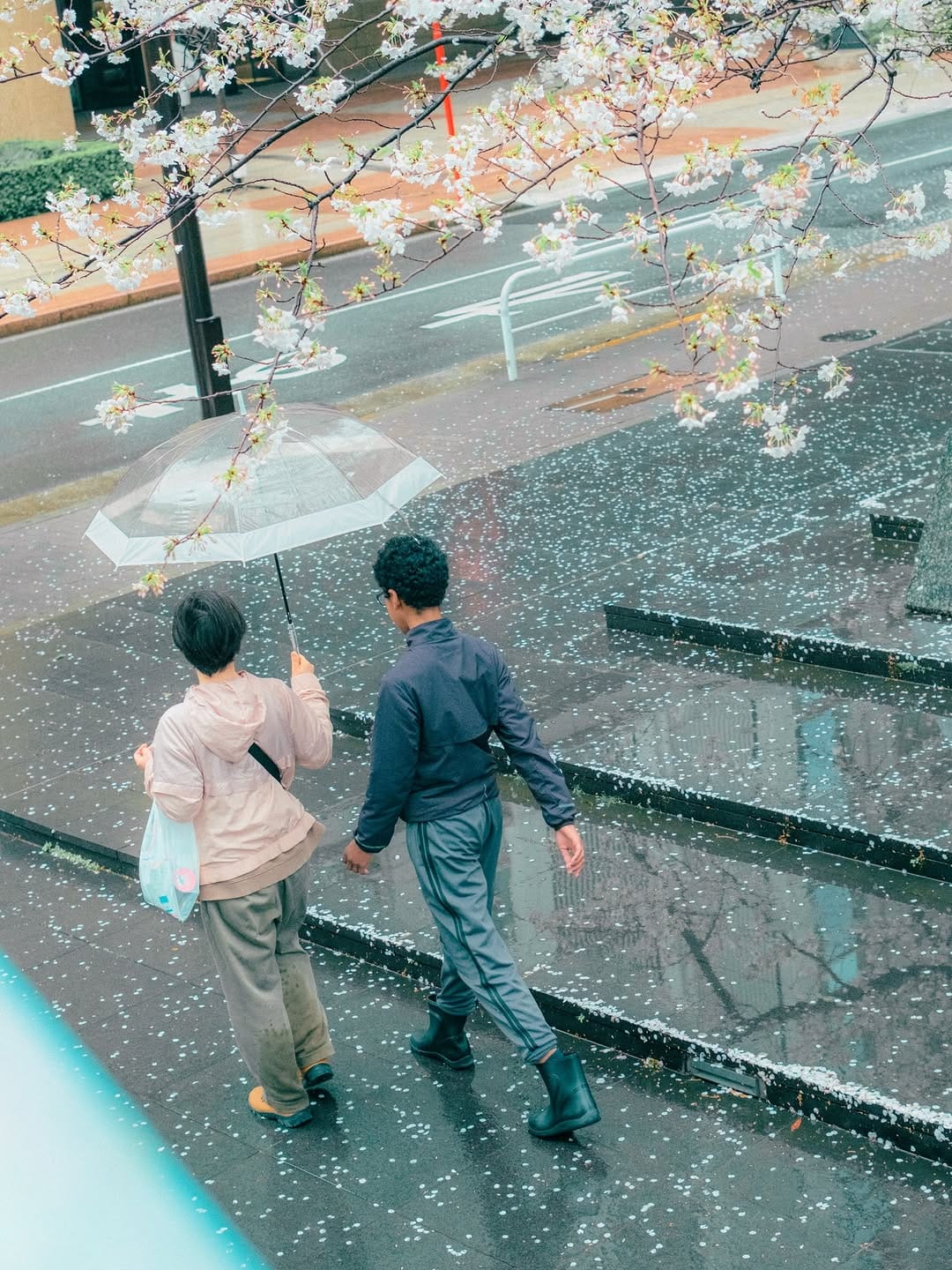 Post 2 by Shuko Kawase on Instagram (carousel)