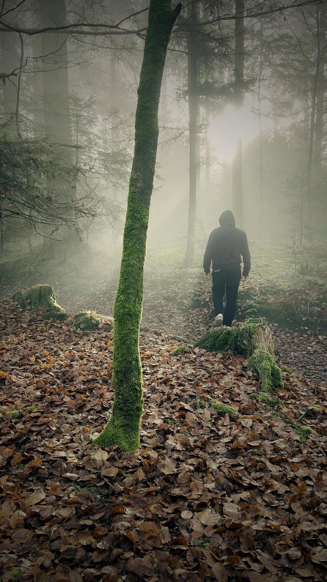 Post 4 by Felix Raphael on Instagram (video)