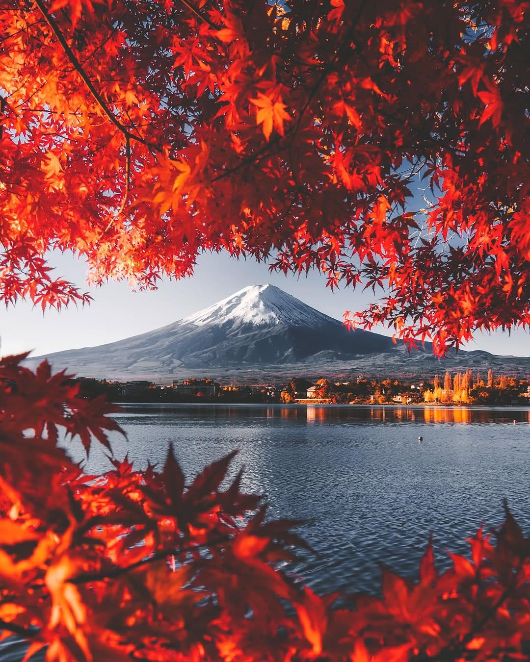 Post 8 by TOKYO.IG on Instagram (carousel)
