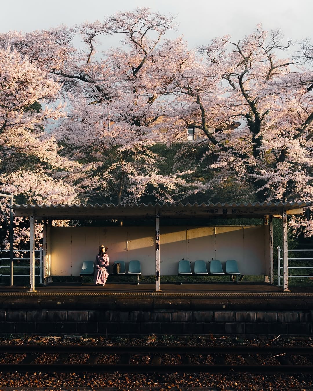 Post 7 by TOKYO.IG on Instagram (carousel)
