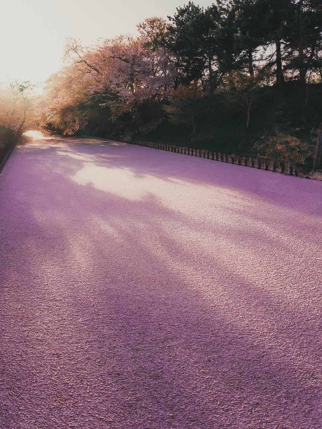 Post 4 by TOKYO.IG on Instagram (carousel)