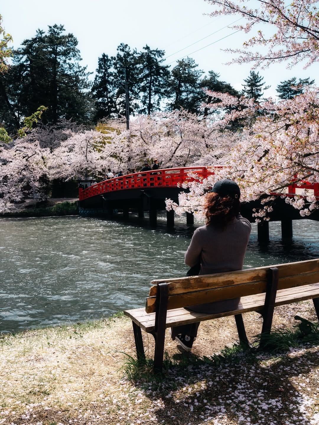 Post 5 by TOKYO.IG on Instagram (carousel)