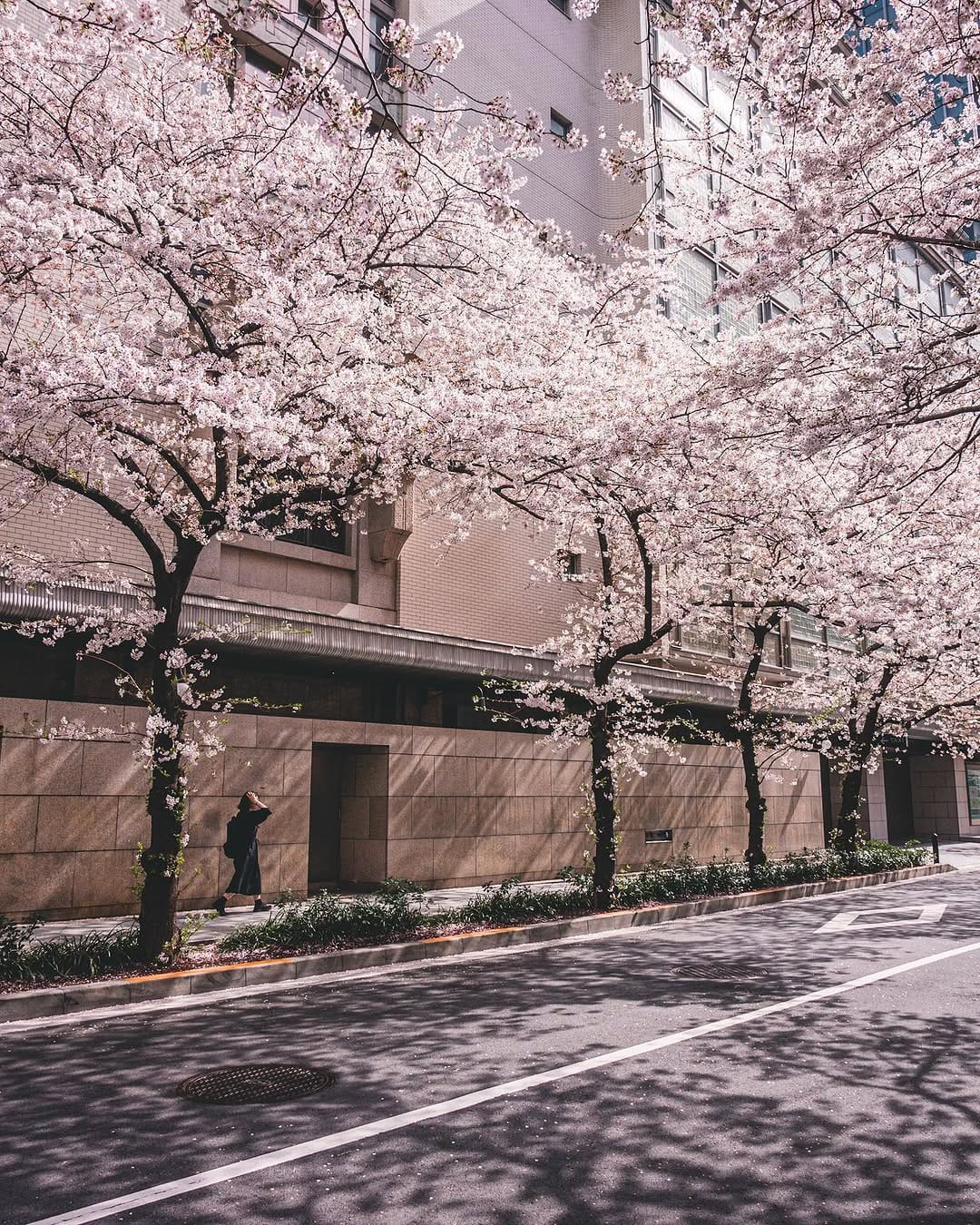 Post 10 by TOKYO.IG on Instagram (carousel)