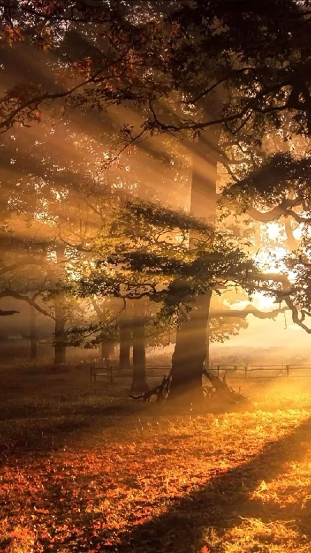 Post 7 by Serap Kılıç Baytok on Instagram (video)