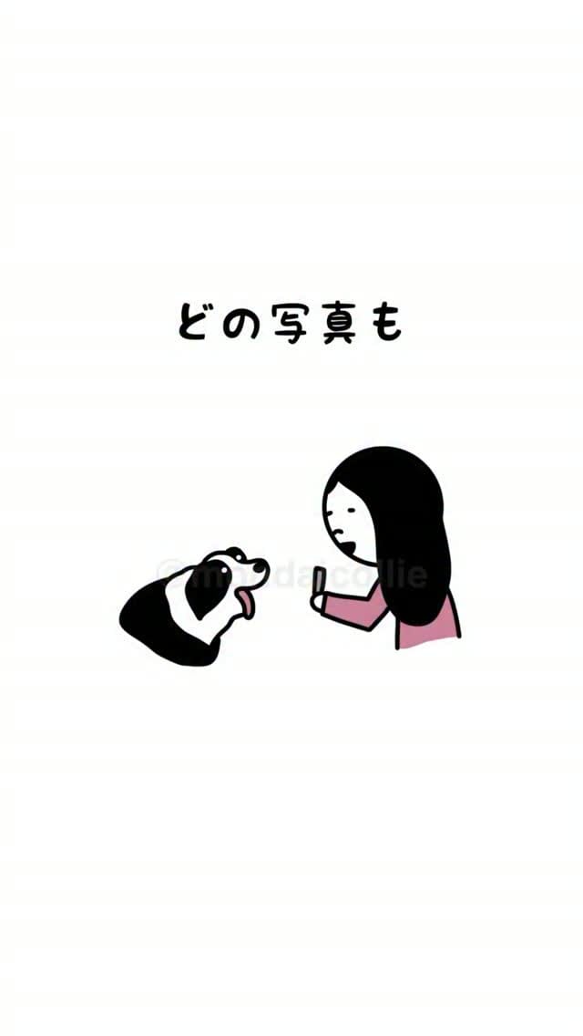 Post 7 by モドキ/かわいい犬のイラスト on Instagram (video)