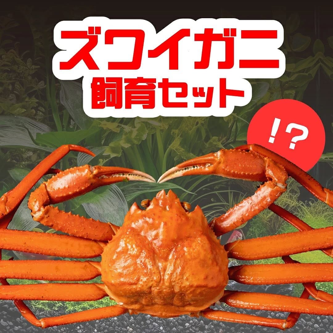 Post 3 by 🦀越前かに問屋「ますよね」公式インスタ on Instagram (carousel)