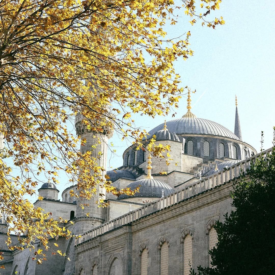 Post 8 by aistė biskytė photography on Instagram (carousel)