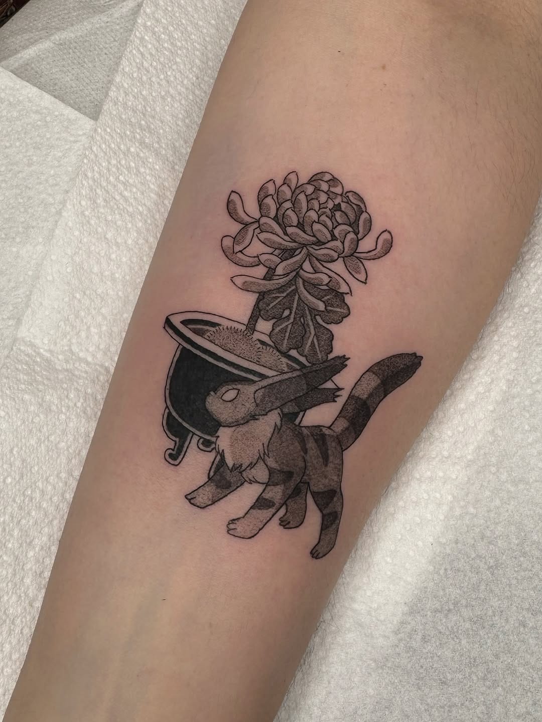 Post 3 by Le Mush on Instagram (carousel)