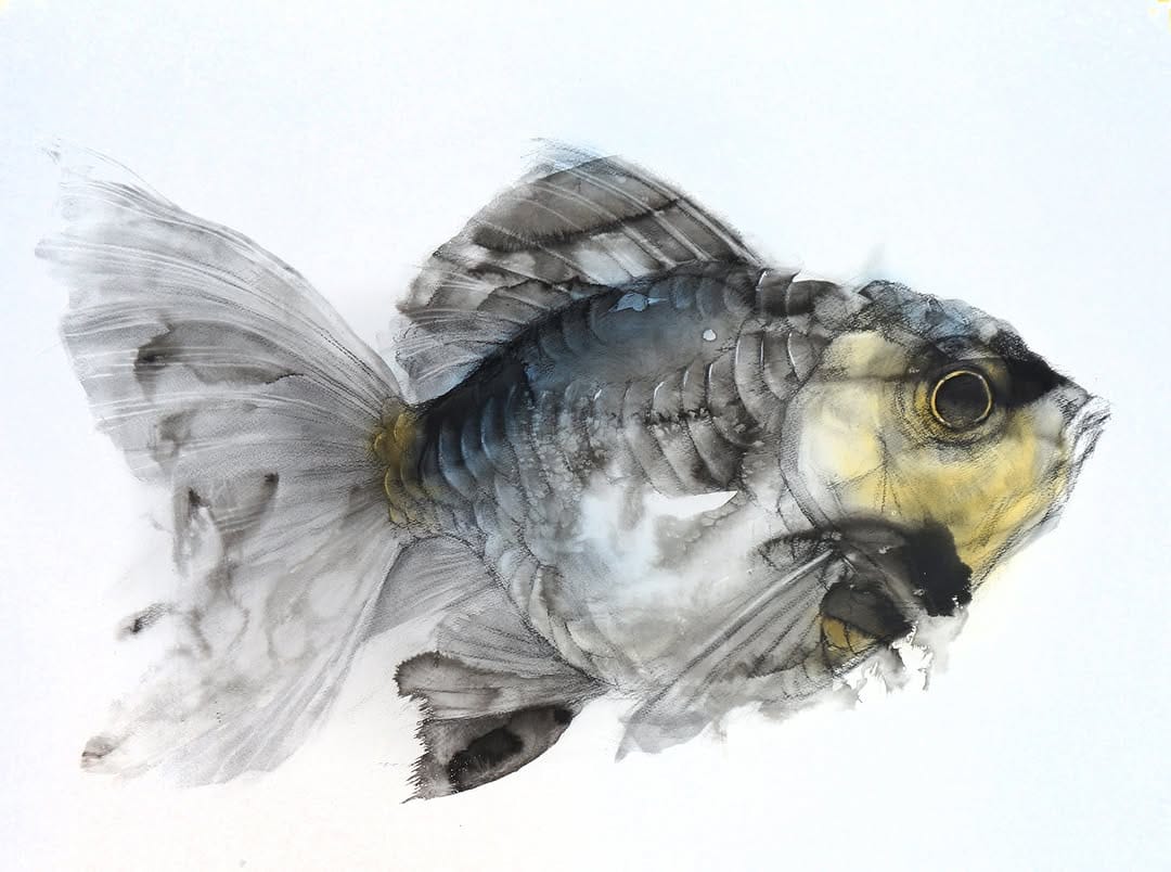Post 7 by Takeo  Ikegami art on Instagram (image)