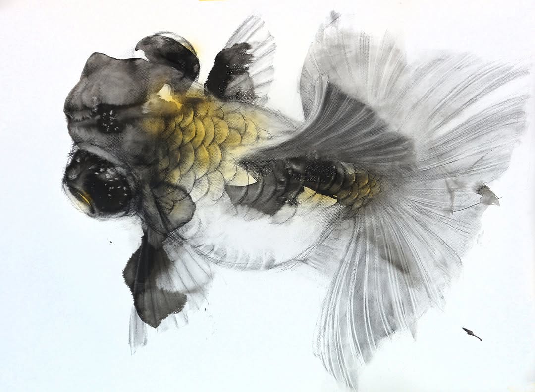 Post 6 by Takeo  Ikegami art on Instagram (image)