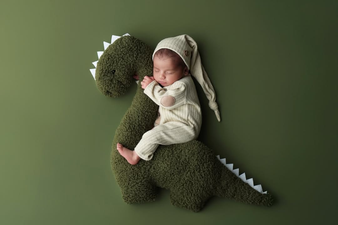 Post 6 by Sarasota Newborn Photographer on Instagram (image)