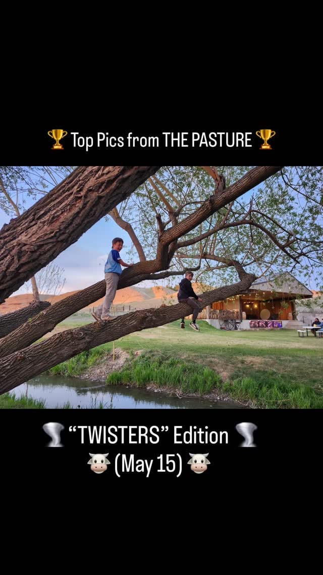 Post 8 by The Pasture Drive-In Theater on Instagram (video)
