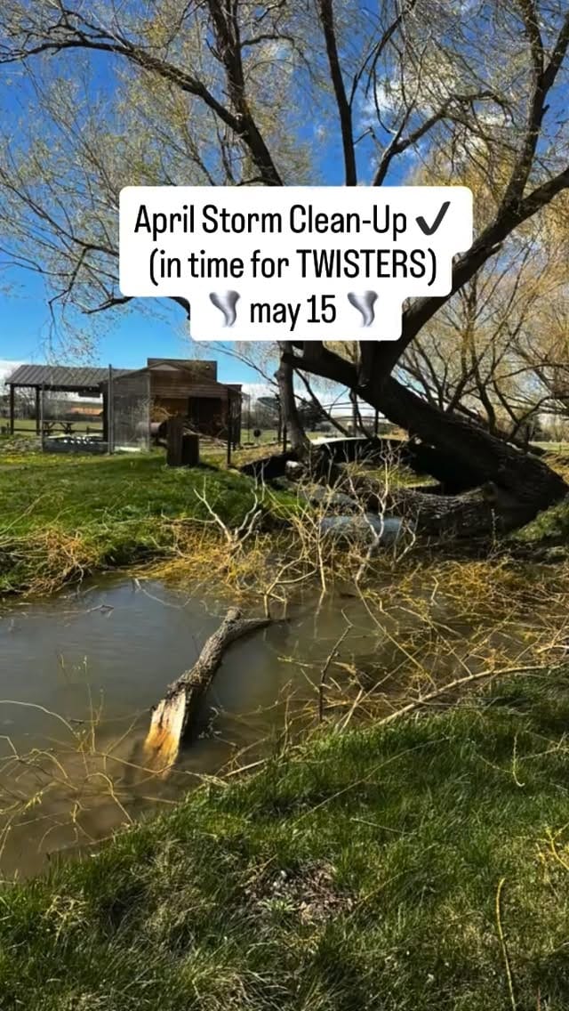 Post 9 by The Pasture Drive-In Theater on Instagram (video)