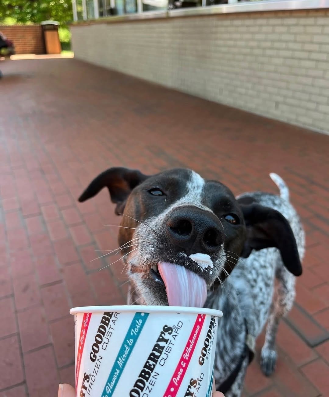 Post 3 by Goodberry's Creamery on Instagram (image)