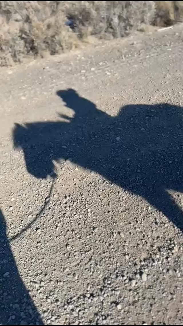 Post 5 by Jeremiah Watt Products on Instagram (video)
