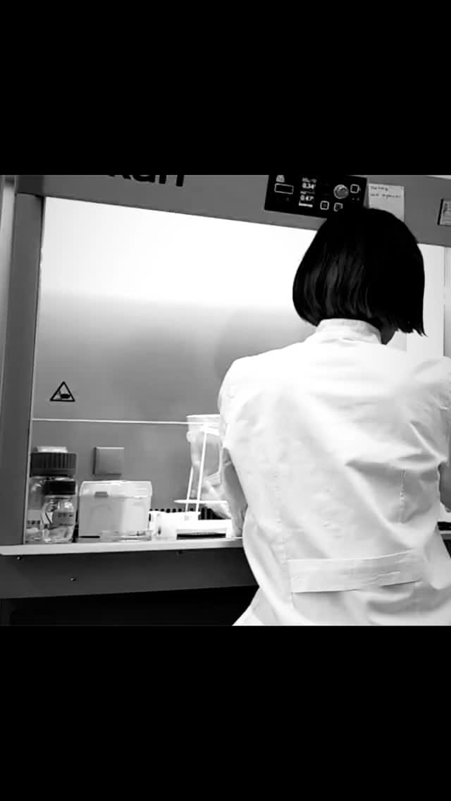 Post 3 by Kyoka.Sound on Instagram (video)