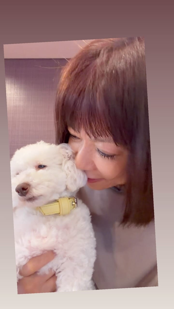 Post 3 by 堀ちえみ on Instagram (video)