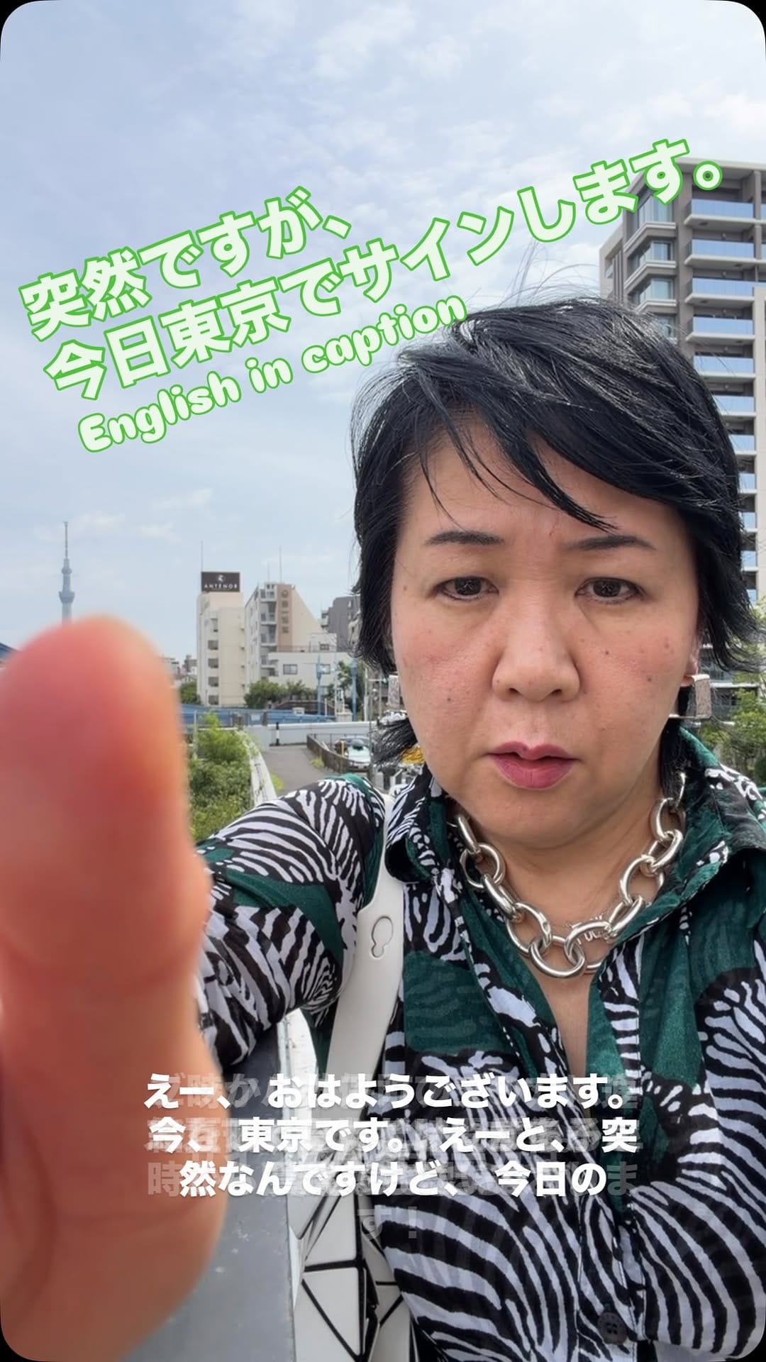 Post 5 by Yuko Shimizu on Instagram (video)