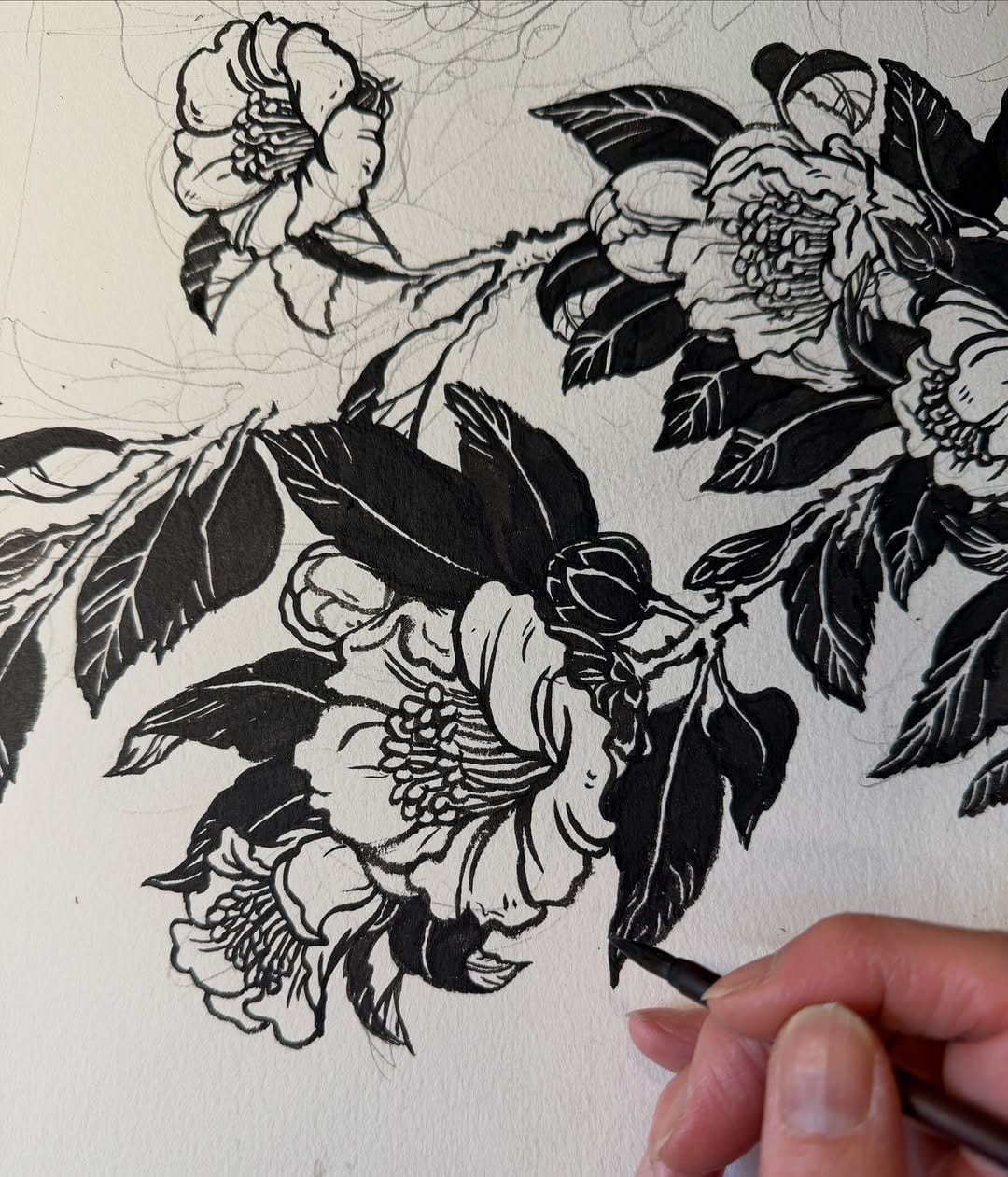 Post 7 by Yuko Shimizu on Instagram (image)