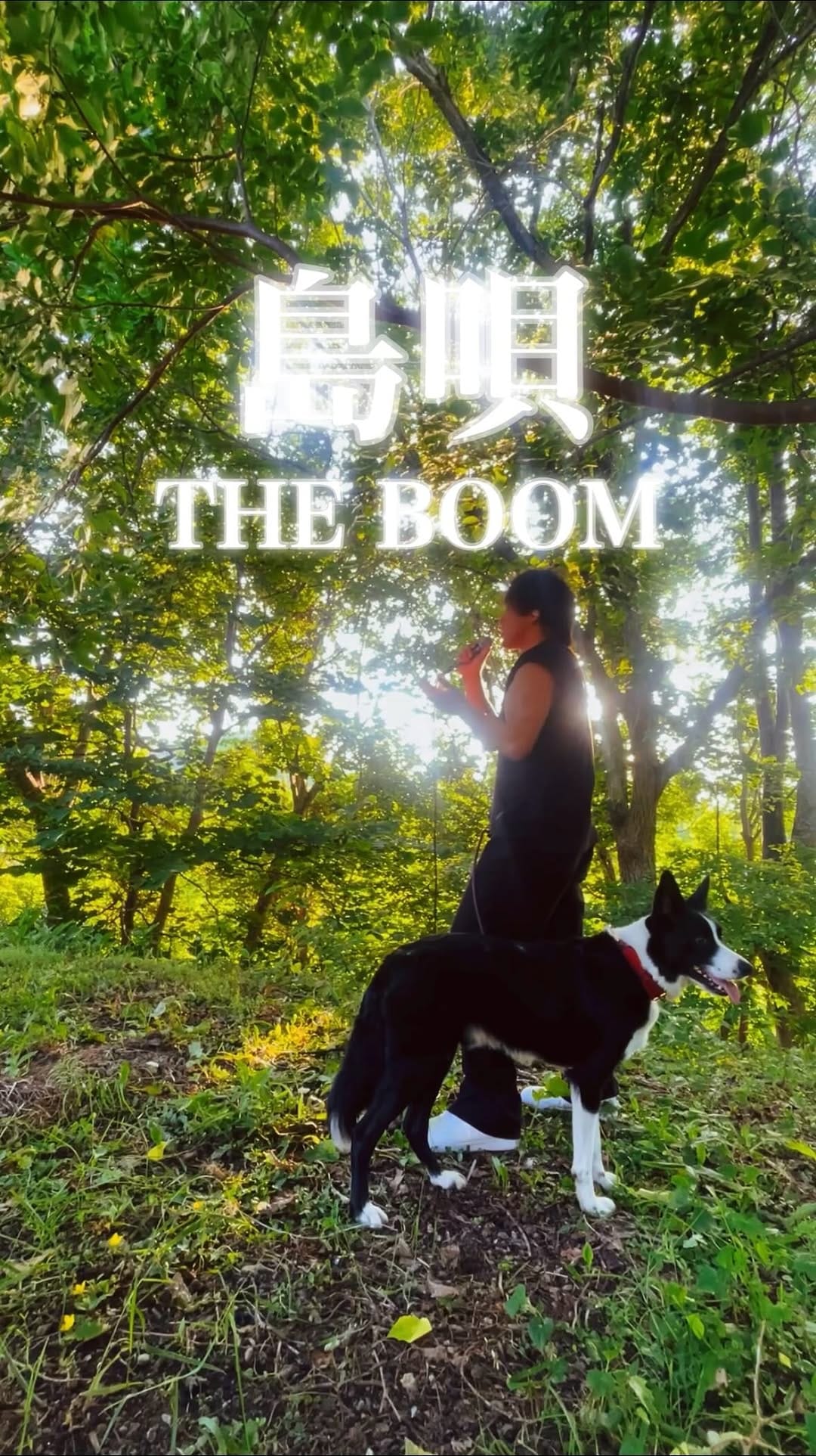 Post 2 by 斎藤 洸(Takeshi Saito) on Instagram (video)