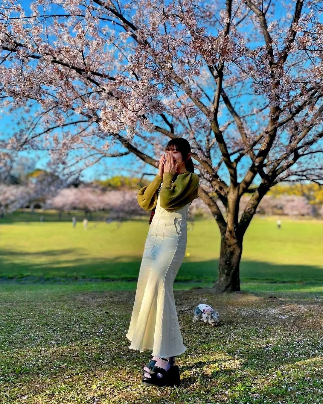 Post 3 by 瀬田さくら公式 on Instagram (carousel)